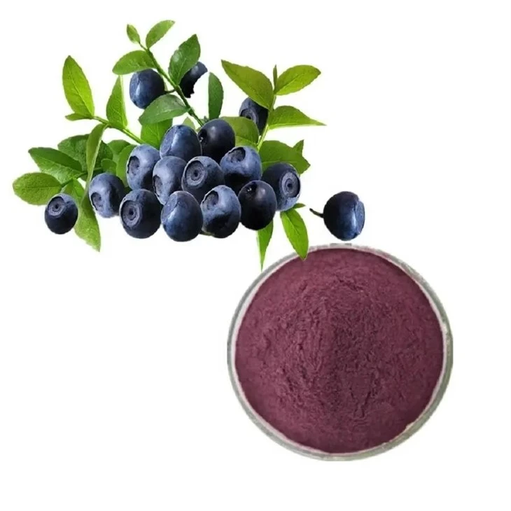 Bilberry Extract Powder