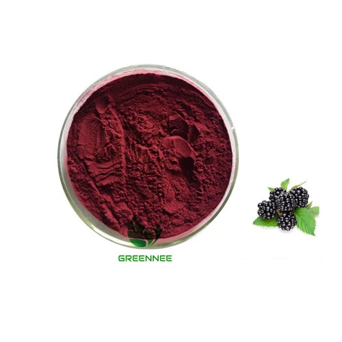 Mulberry Extract Purple Powder