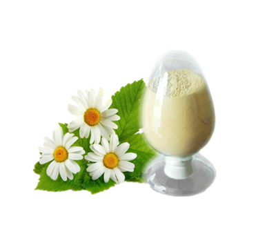 Ekstrakt Chrysanthemum Morifolium Ramat