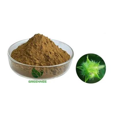 Tribulus terestris ekstrakt saponina 90%